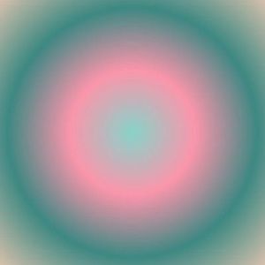 Meet your Posher, Delaney